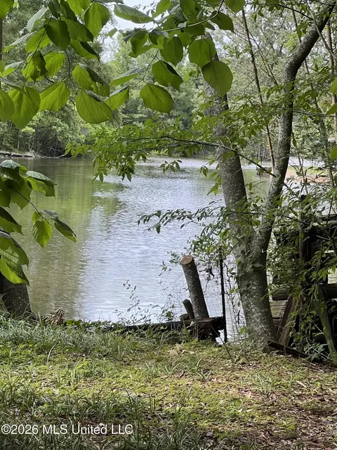 View/Area - 113 Campfire Cir, Brandon, MS 39047 photo 1 of 3