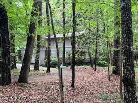 Exterior - 113 Campfire Cir, Brandon, MS 39047 photo 2 of 13