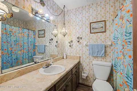 Bath - 1463 Thunderbird Dr, Hernando, MS 38632 photo 2 of 3
