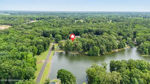 Other - 1463 Thunderbird Dr, Hernando, MS 38632 photo 13 of 14