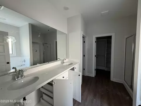 Bath - 115 Hyde Park Dr, Brandon, MS 39042 photo 1 of 2