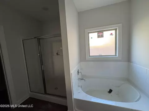 Bath - 115 Hyde Park Dr, Brandon, MS 39042 photo 2 of 2