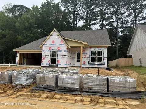 414 Hyde Park Cv, Brandon, MS 39042
