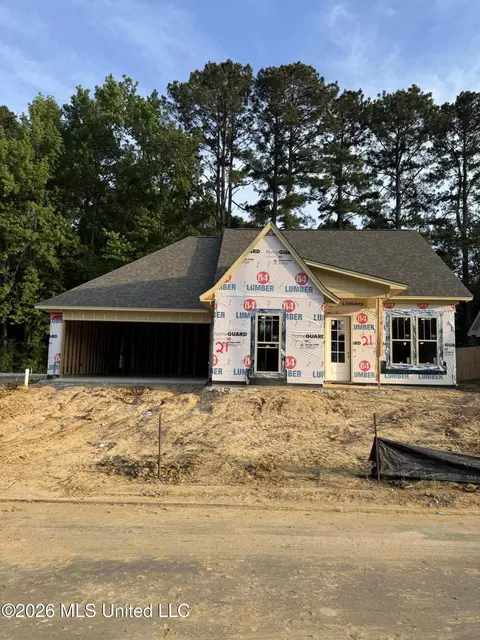 414 Hyde Park Cv, Brandon, MS 39042
