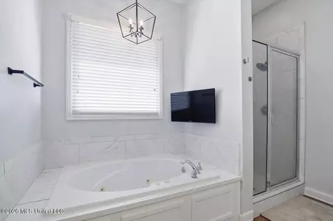 Bath - 105 Camden Ct, Madison, MS 39110 photo 2 of 5
