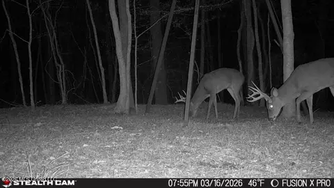 00 County Road 3102, West, MS 39192 photo 67