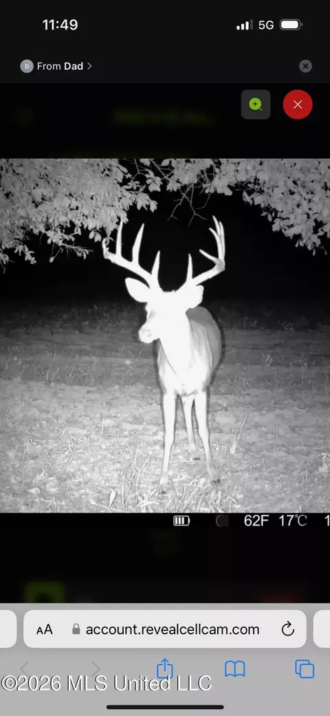 00 County Road 3102, West, MS 39192 photo 73
