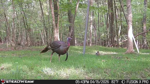 00 County Road 3102, West, MS 39192 photo 66