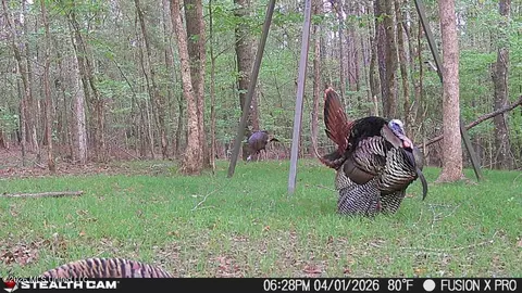 00 County Road 3102, West, MS 39192 photo 61