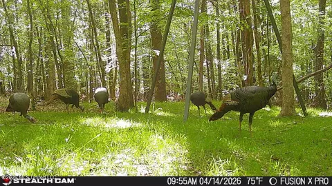 00 County Road 3102, West, MS 39192 photo 63