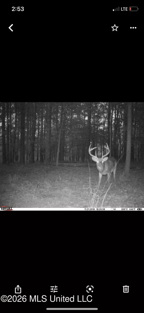 00 County Road 3102, West, MS 39192 photo 59