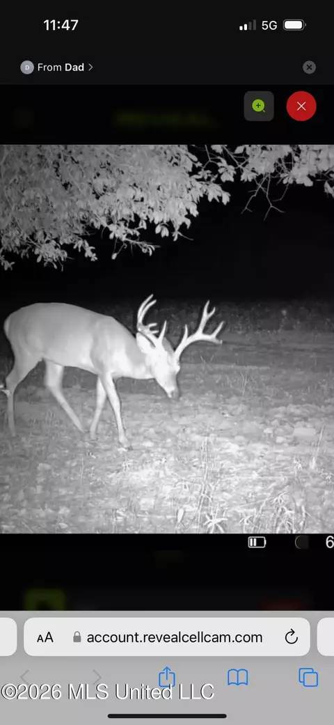 00 County Road 3102, West, MS 39192 photo 76