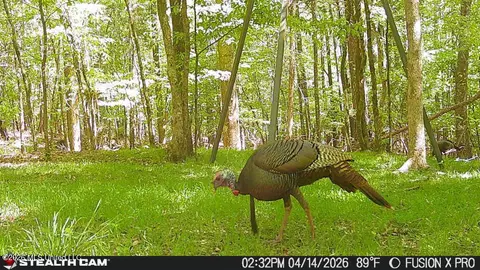 00 County Road 3102, West, MS 39192 photo 64