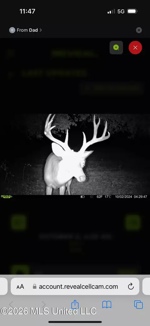 00 County Road 3102, West, MS 39192 photo 75