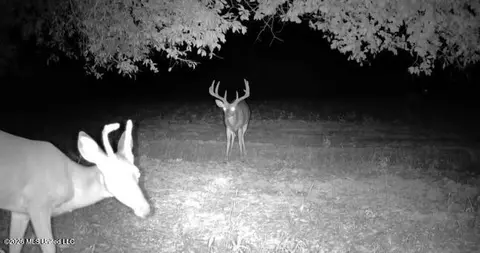 00 County Road 3102, West, MS 39192 photo 70