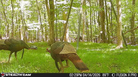 00 County Road 3102, West, MS 39192 photo 65