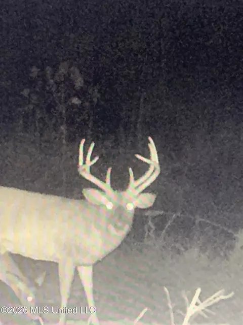 00 County Road 3102, West, MS 39192 photo 80