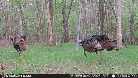 00 County Road 3102, West, MS 39192 photo 62
