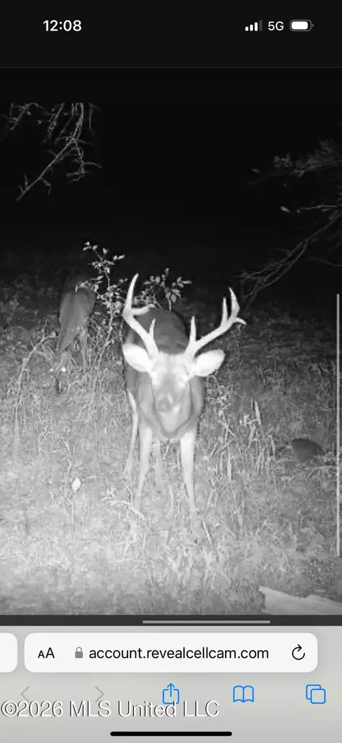 00 County Road 3102, West, MS 39192 photo 71