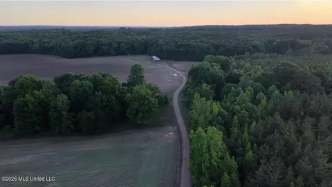 00 County Road 3102, West, MS 39192 photo 43