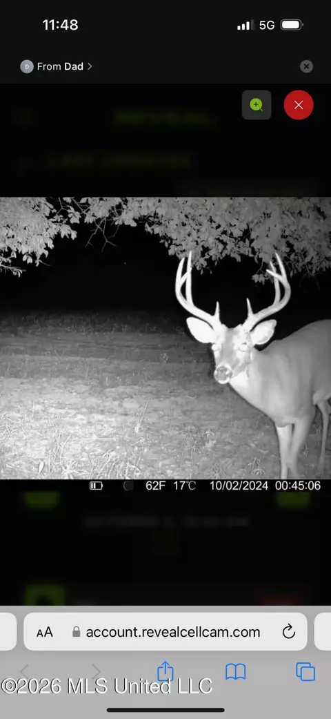 00 County Road 3102, West, MS 39192 photo 74