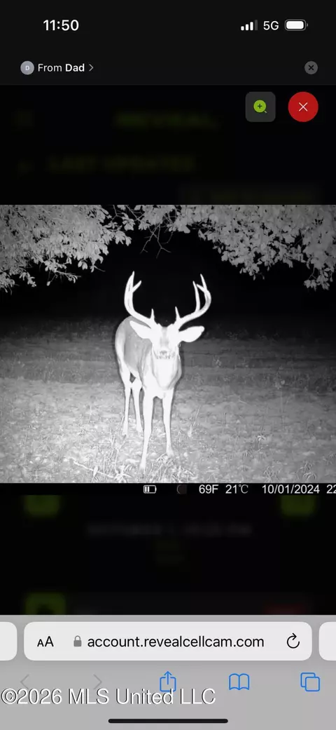 00 County Road 3102, West, MS 39192 photo 72
