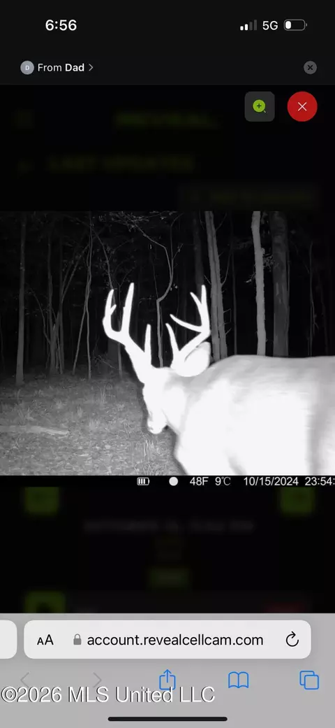 00 County Road 3102, West, MS 39192 photo 69