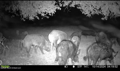 00 County Road 3102, West, MS 39192 photo 68