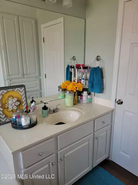 Bath - 213 Austin Cir, Byram, MS 39272 photo 4 of 4