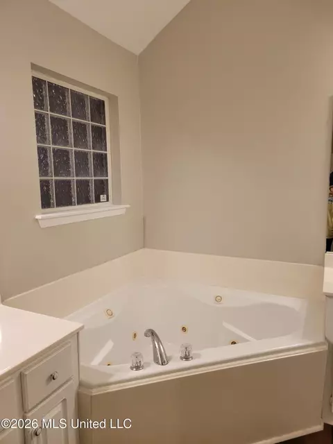 Bath - 213 Austin Cir, Byram, MS 39272 photo 2 of 4