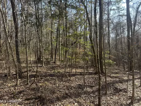 Aberdeen Road, Natchez, MS 39120 photo 21