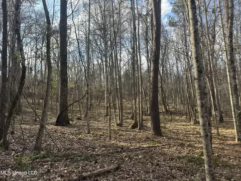 Aberdeen Road, Natchez, MS 39120 photo 33