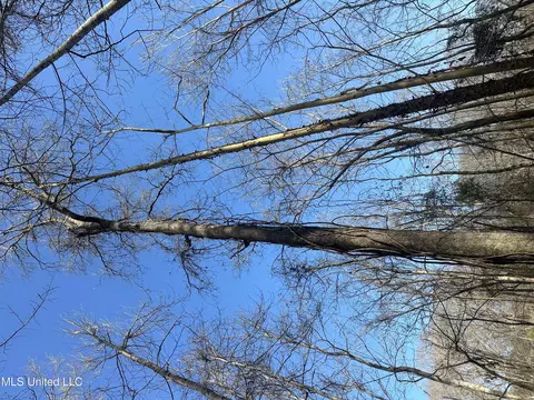 Aberdeen Road, Natchez, MS 39120 photo 29