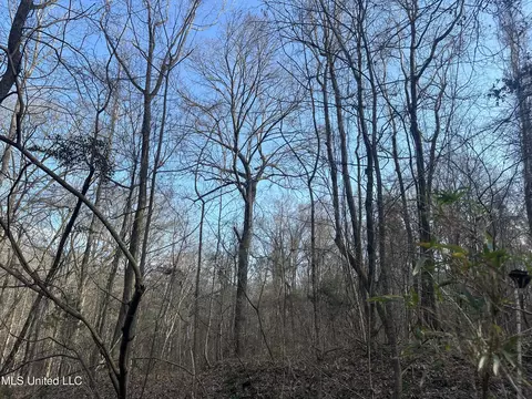 Aberdeen Road, Natchez, MS 39120 photo 27
