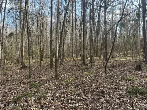 Aberdeen Road, Natchez, MS 39120 photo 32