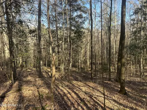 Aberdeen Road, Natchez, MS 39120 photo 18
