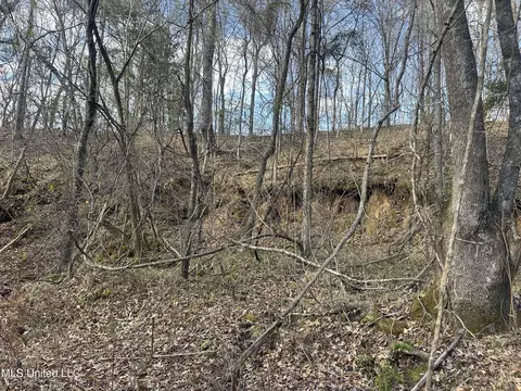 Aberdeen Road, Natchez, MS 39120 photo 38