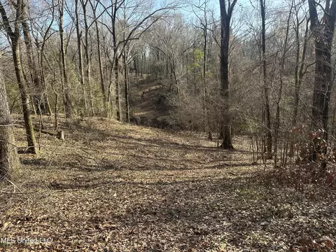 Aberdeen Road, Natchez, MS 39120 photo 43