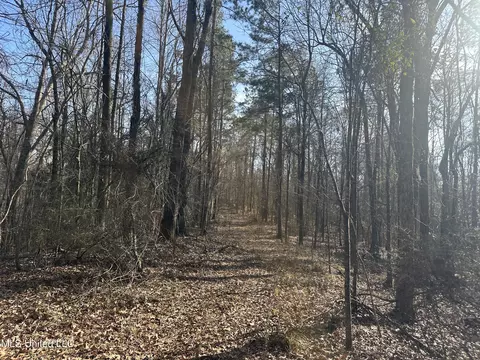 Aberdeen Road, Natchez, MS 39120 photo 25