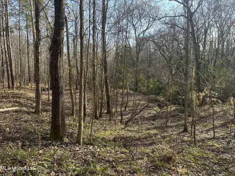 Aberdeen Road, Natchez, MS 39120 photo 13