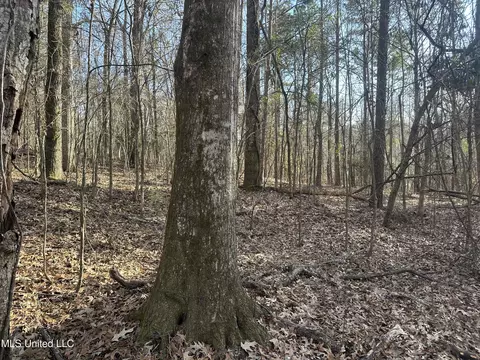 Aberdeen Road, Natchez, MS 39120 photo 10