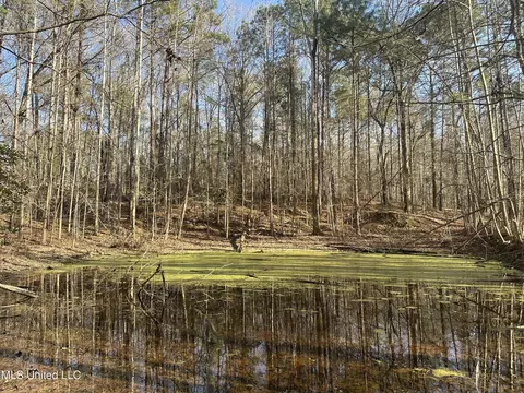 Aberdeen Road, Natchez, MS 39120 photo 14