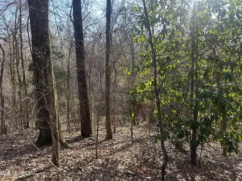 Aberdeen Road, Natchez, MS 39120 photo 44