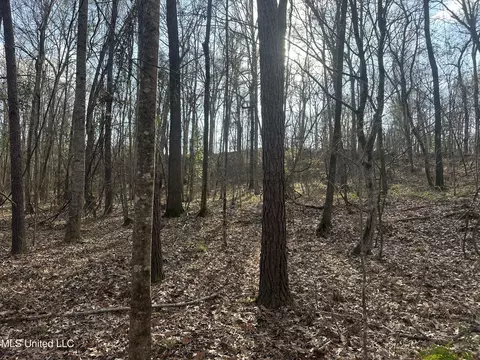Aberdeen Road, Natchez, MS 39120 photo 31