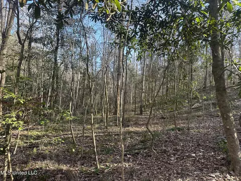 Aberdeen Road, Natchez, MS 39120 photo 15
