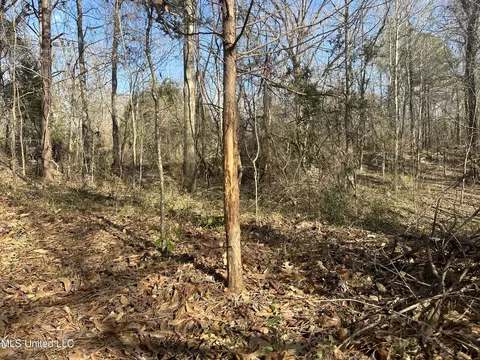 Aberdeen Road, Natchez, MS 39120 photo 12
