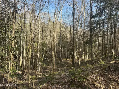 Aberdeen Road, Natchez, MS 39120 photo 16