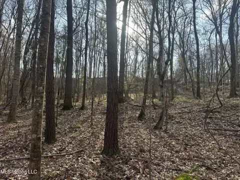 Aberdeen Road, Natchez, MS 39120 photo 30