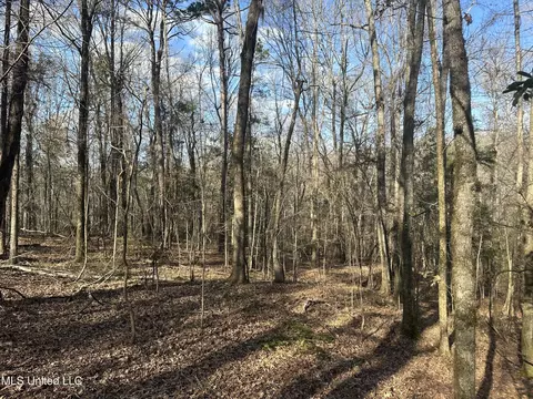 Aberdeen Road, Natchez, MS 39120 photo 24