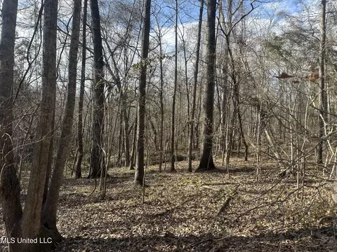 Aberdeen Road, Natchez, MS 39120